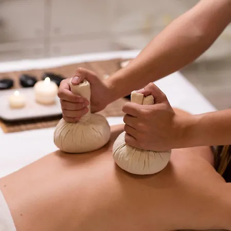 ホームステイ Mustang Avec Piscine Casaeva ポルトヴェッキオ